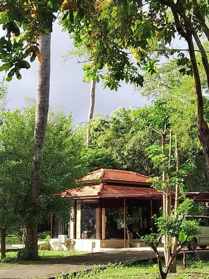 Jawa Jiwa G-Land Resort Dadapan Eksteriør billede