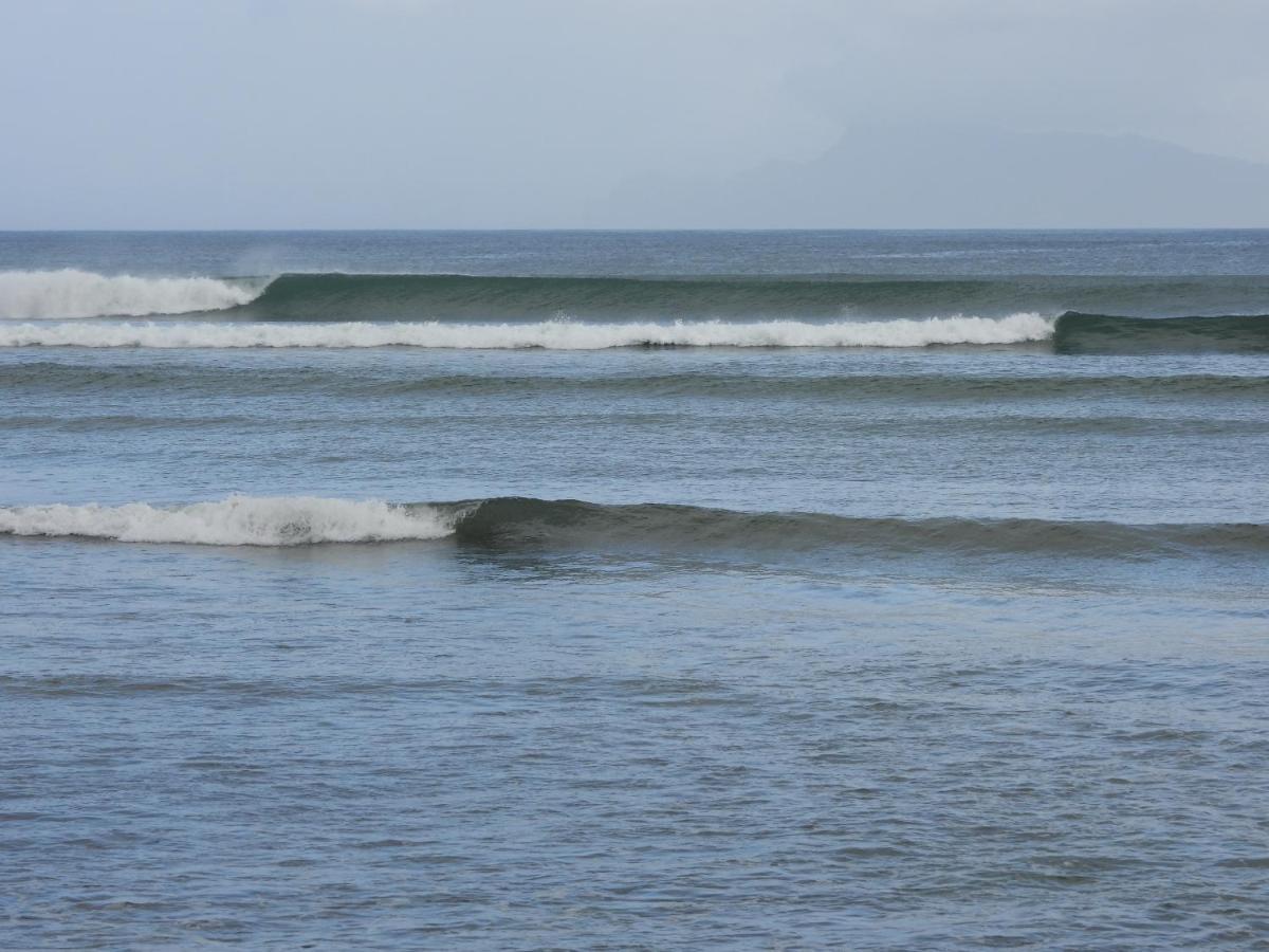 Jawa Jiwa G-Land Resort Dadapan Eksteriør billede
