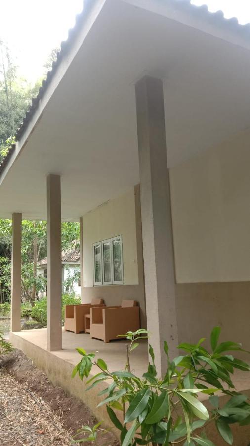 Jawa Jiwa G-Land Resort Dadapan Eksteriør billede