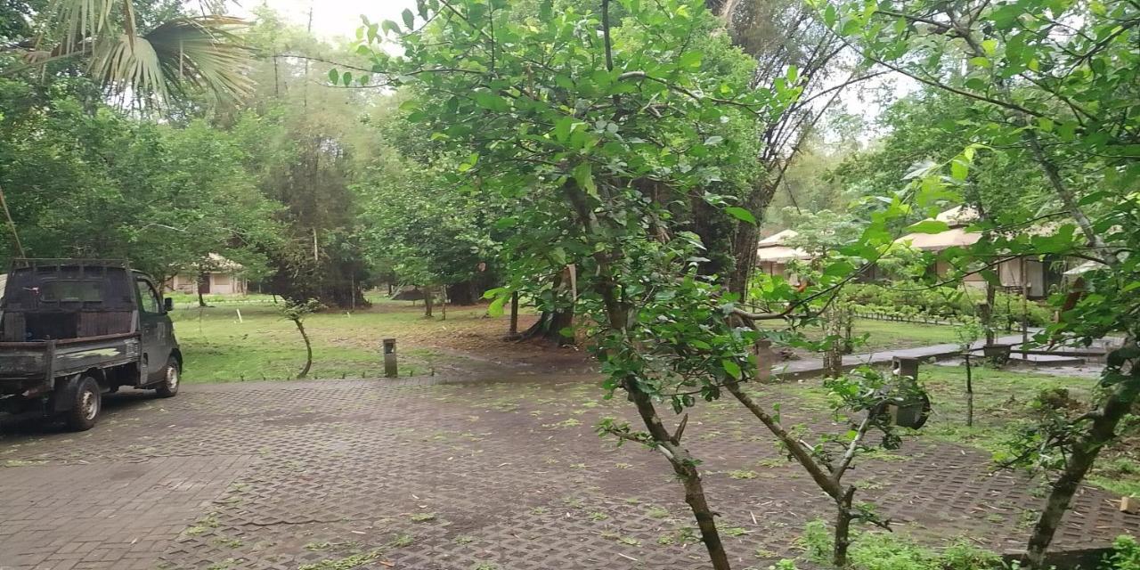 Jawa Jiwa G-Land Resort Dadapan Eksteriør billede